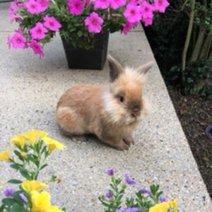 Meet your Posher, Jenin